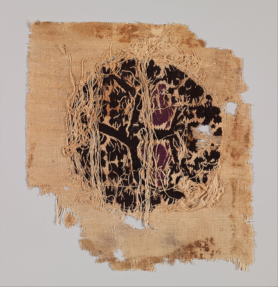 Orbiculus (Roundel) with Grapevine Inhabited by Two Purple Birds Emerging from a Pot, Wool, linen; plain weave, tapestry weave