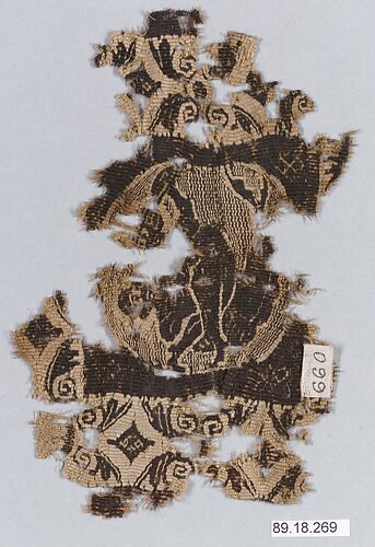 Textile Fragment