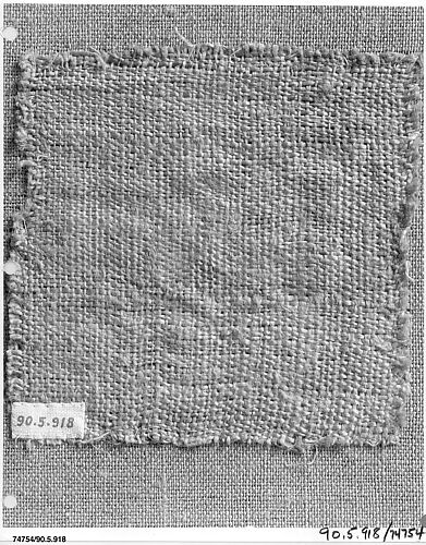 Textile Fragment