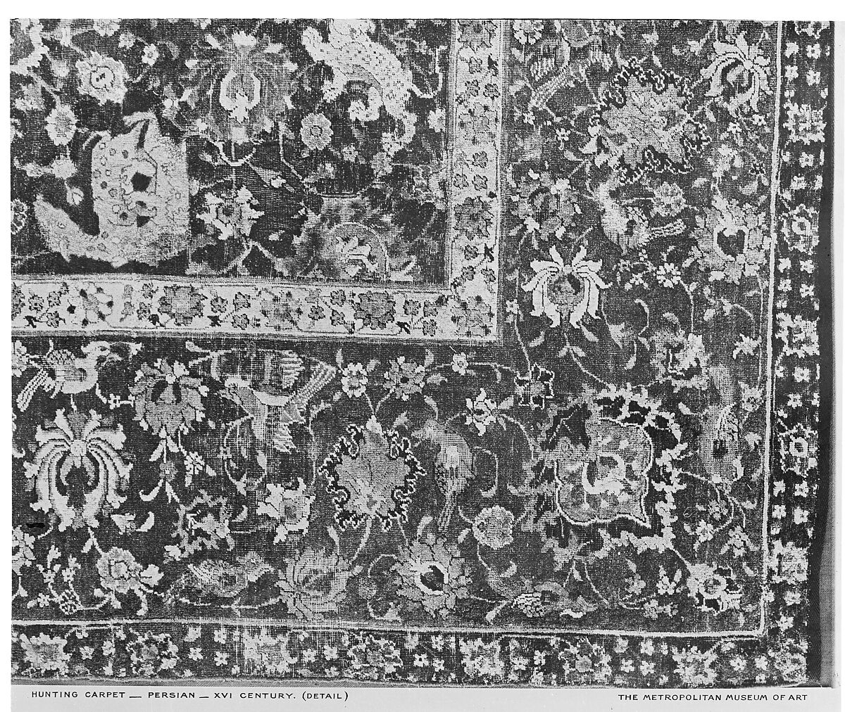 Carpet, Silk (warp), cotton (weft), wool (pile); asymmetrically knotted pile