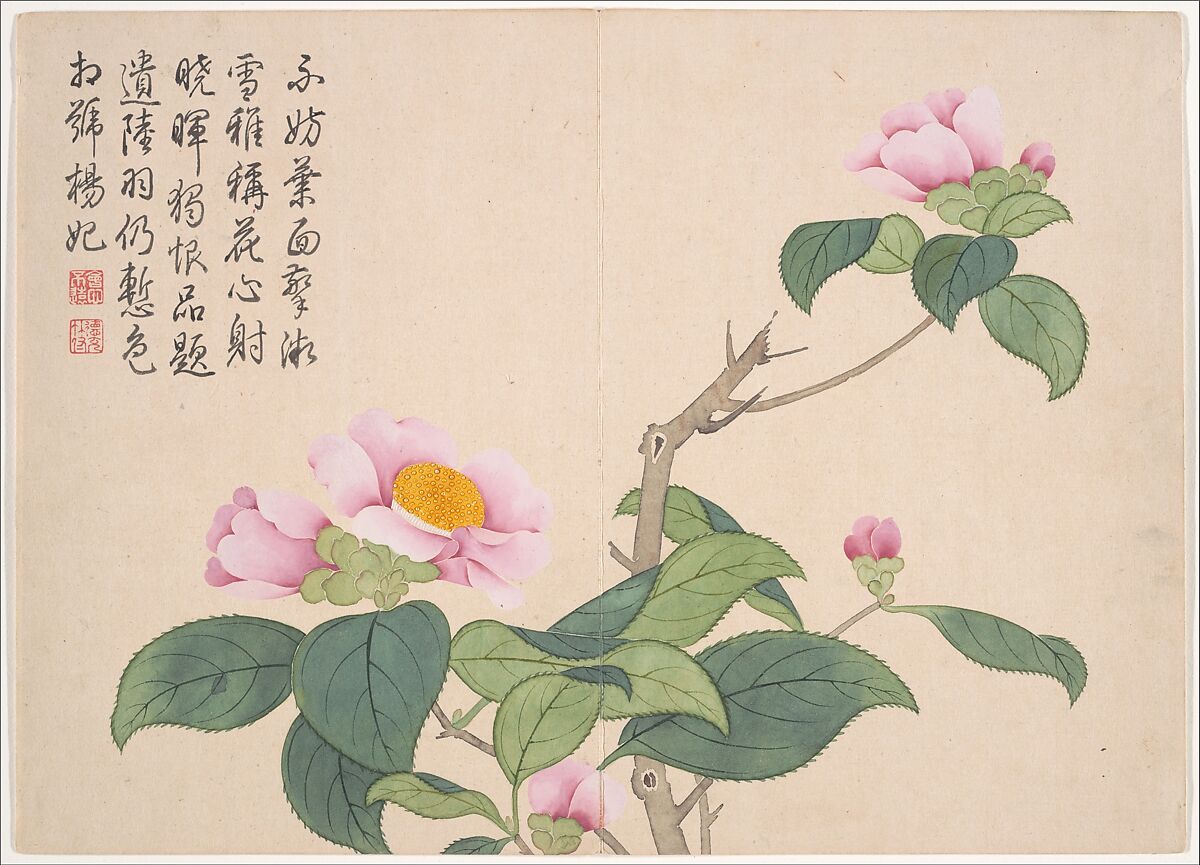 Winter landscapes and flowers, Qian Weicheng (Chinese, 1720–1772), Album of twelve paintings; ink and color on paper, China