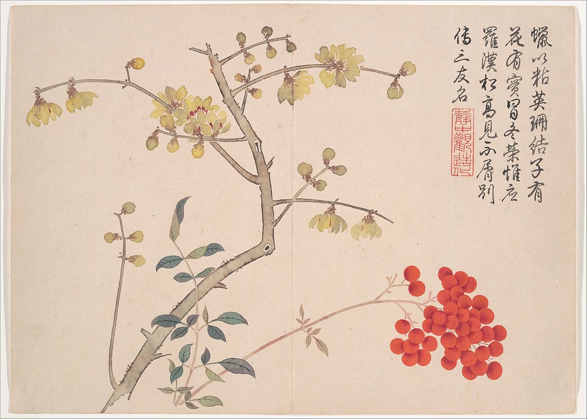 Winter landscapes and flowers, Qian Weicheng (Chinese, 1720–1772), Album of twelve paintings; ink and color on paper, China