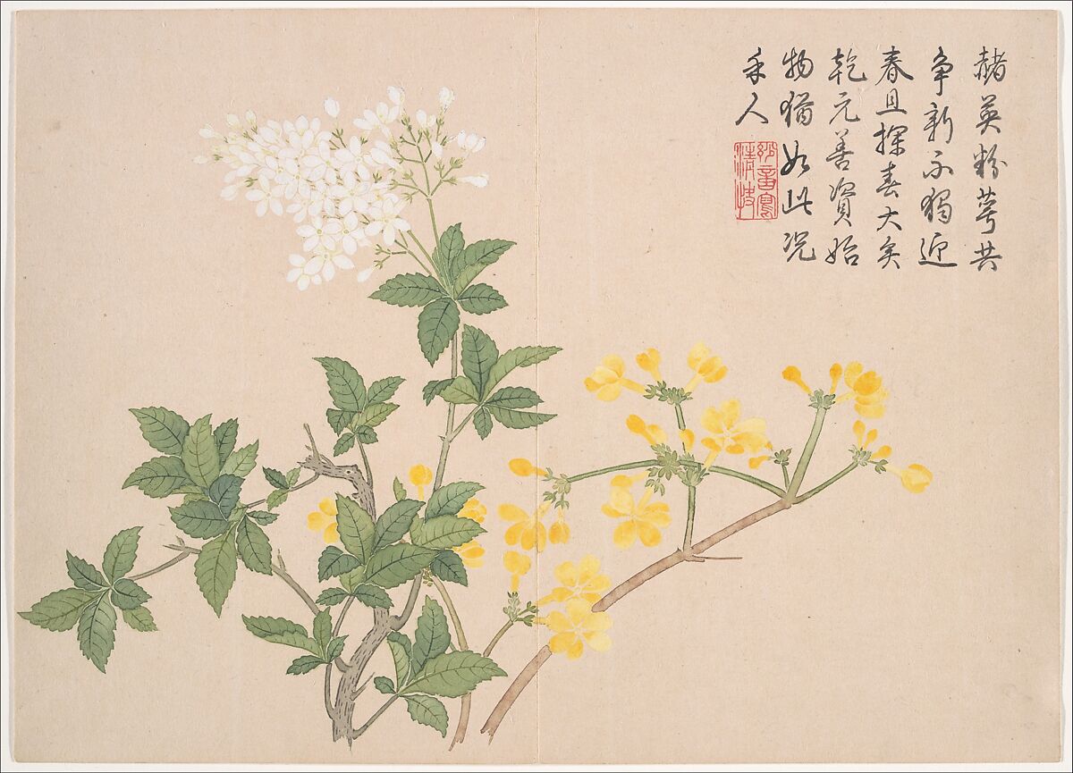 Winter landscapes and flowers, Qian Weicheng (Chinese, 1720–1772), Album of twelve paintings; ink and color on paper, China