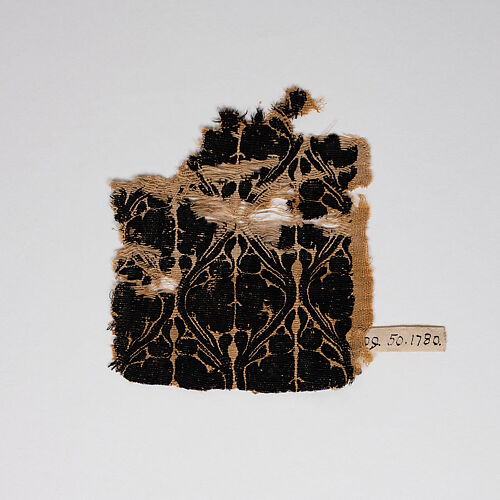 Band Fragment