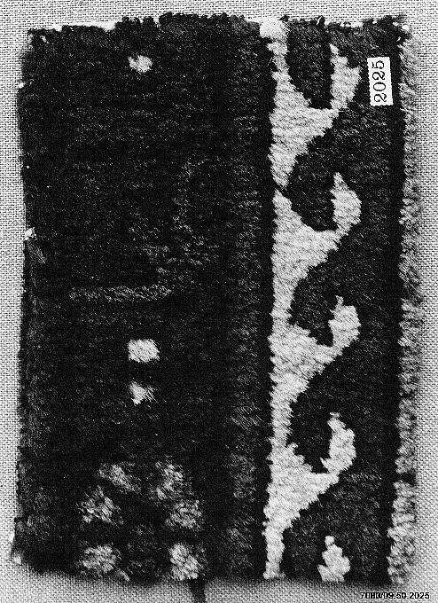 Carpet Fragment, Cotton (warp), wool (weft and pile); symmetrically knotted pile 