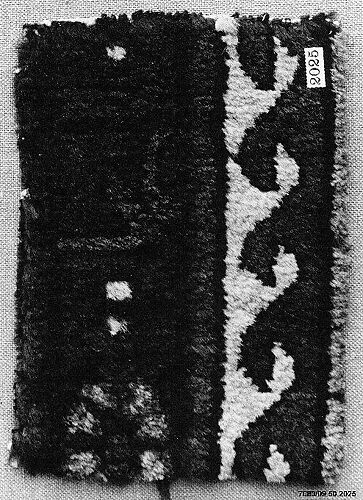 Carpet Fragment
