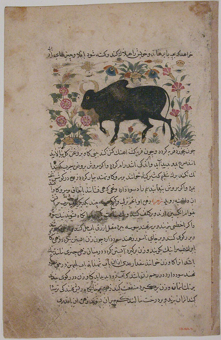 "A Bull", Folio from a Dispersed Nuzhatnama-i ‘Ala’i of Shahmardan ibn Abi’l Khayr, Shamardan ibn Abi &#39;l Khayr (Iranian, active late 11th–early 12th century), Ink, opaque watercolor, and gold on paper 