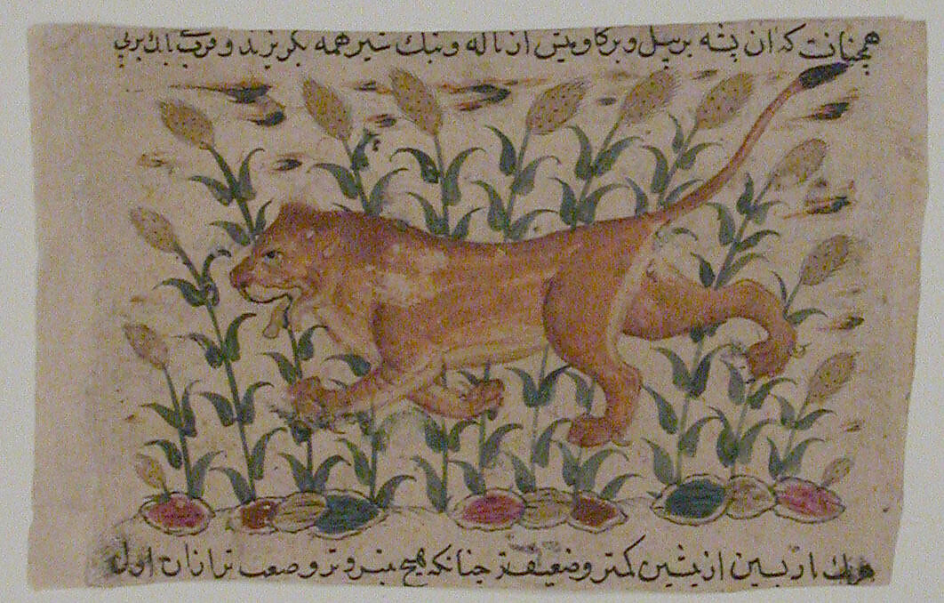 " A Lion", Folio from a Dispersed Nuzhatnama-i ‘Ala’i of Shahmardan ibn Abi’l Khayr, Shamardan ibn Abi 'l Khayr (Iranian, active late 11th–early 12th century), Ink, opaque watercolor, and gold on paper