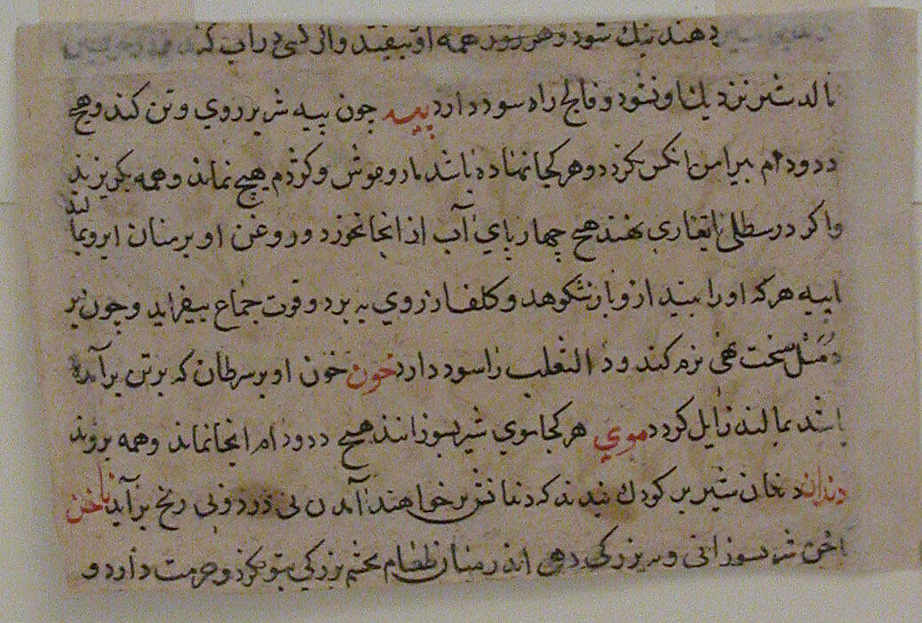 " A Lion", Folio from a Dispersed Nuzhatnama-i ‘Ala’i of Shahmardan ibn Abi’l Khayr, Shamardan ibn Abi 'l Khayr (Iranian, active late 11th–early 12th century), Ink, opaque watercolor, and gold on paper