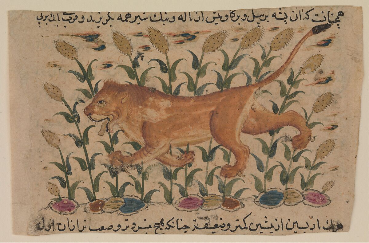 " A Lion", Folio from a Dispersed Nuzhatnama-i ‘Ala’i of Shahmardan ibn Abi’l Khayr, Shamardan ibn Abi &#39;l Khayr (Iranian, active late 11th–early 12th century), Ink, opaque watercolor, and gold on paper 