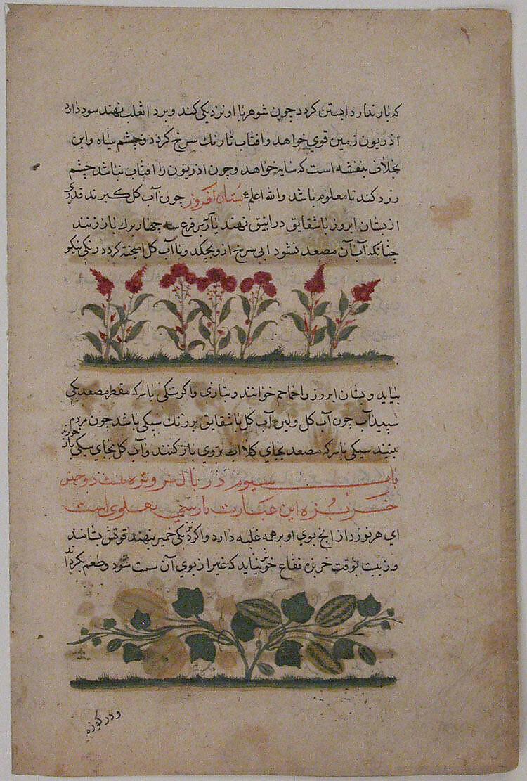 "Purple Amaranth and Watermelon", Folio from a Dispersed Nuzhatnama-i ‘Ala’i of Shahmardan ibn Abi’l Khayr, Shamardan ibn Abi &#39;l Khayr (Iranian, active late 11th–early 12th century), Ink, opaque watercolor, and gold on paper 