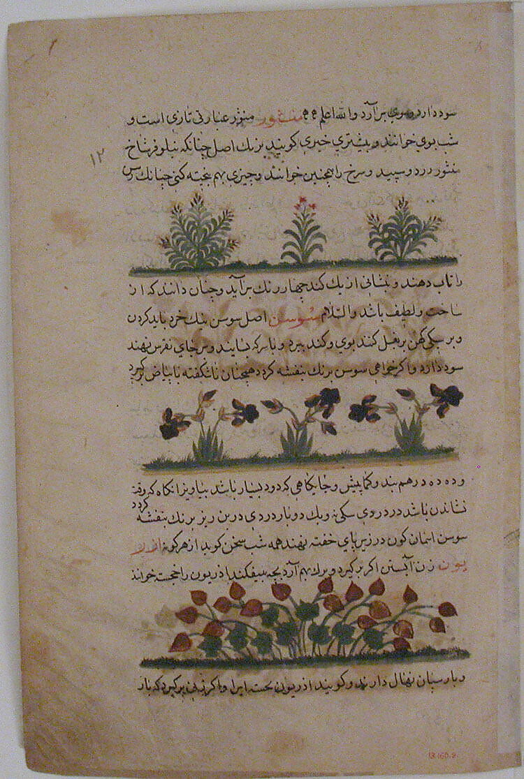 "Purple Amaranth and Watermelon", Folio from a Dispersed Nuzhatnama-i ‘Ala’i of Shahmardan ibn Abi’l Khayr, Shamardan ibn Abi 'l Khayr (Iranian, active late 11th–early 12th century), Ink, opaque watercolor, and gold on paper