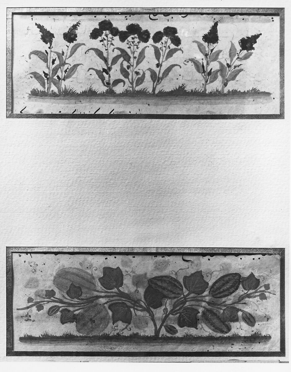 "Purple Amaranth and Watermelon", Folio from a Dispersed Nuzhatnama-i ‘Ala’i of Shahmardan ibn Abi’l Khayr, Shamardan ibn Abi 'l Khayr (Iranian, active late 11th–early 12th century), Ink, opaque watercolor, and gold on paper