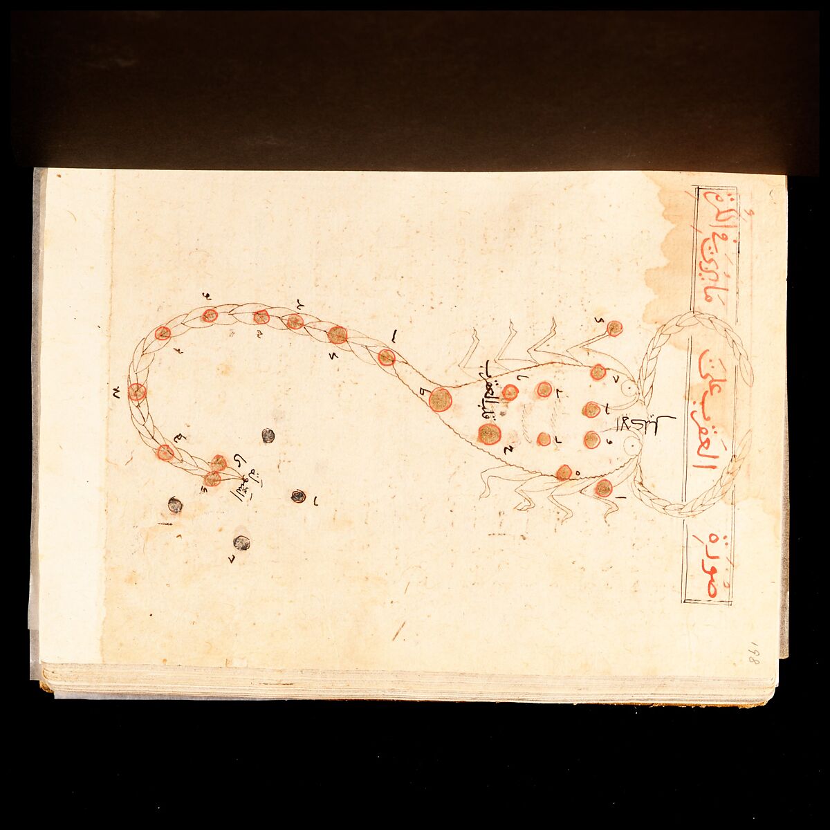 Kitab suwar al-kawakib al-thabita (Book of the Images of the Fixed Stars) of al-Sufi, `Abd al-Rahman al-Sufi (Iranian, Rey 903–986 Shiraz), Ink and gold on paper; leather binding