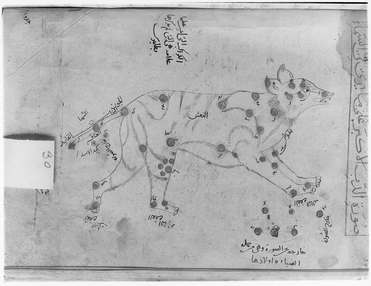 Kitab suwar al-kawakib al-thabita (Book of the Images of the Fixed Stars) of al-Sufi, `Abd al-Rahman al-Sufi (Iranian, Rey 903–986 Shiraz), Ink and gold on paper; leather binding