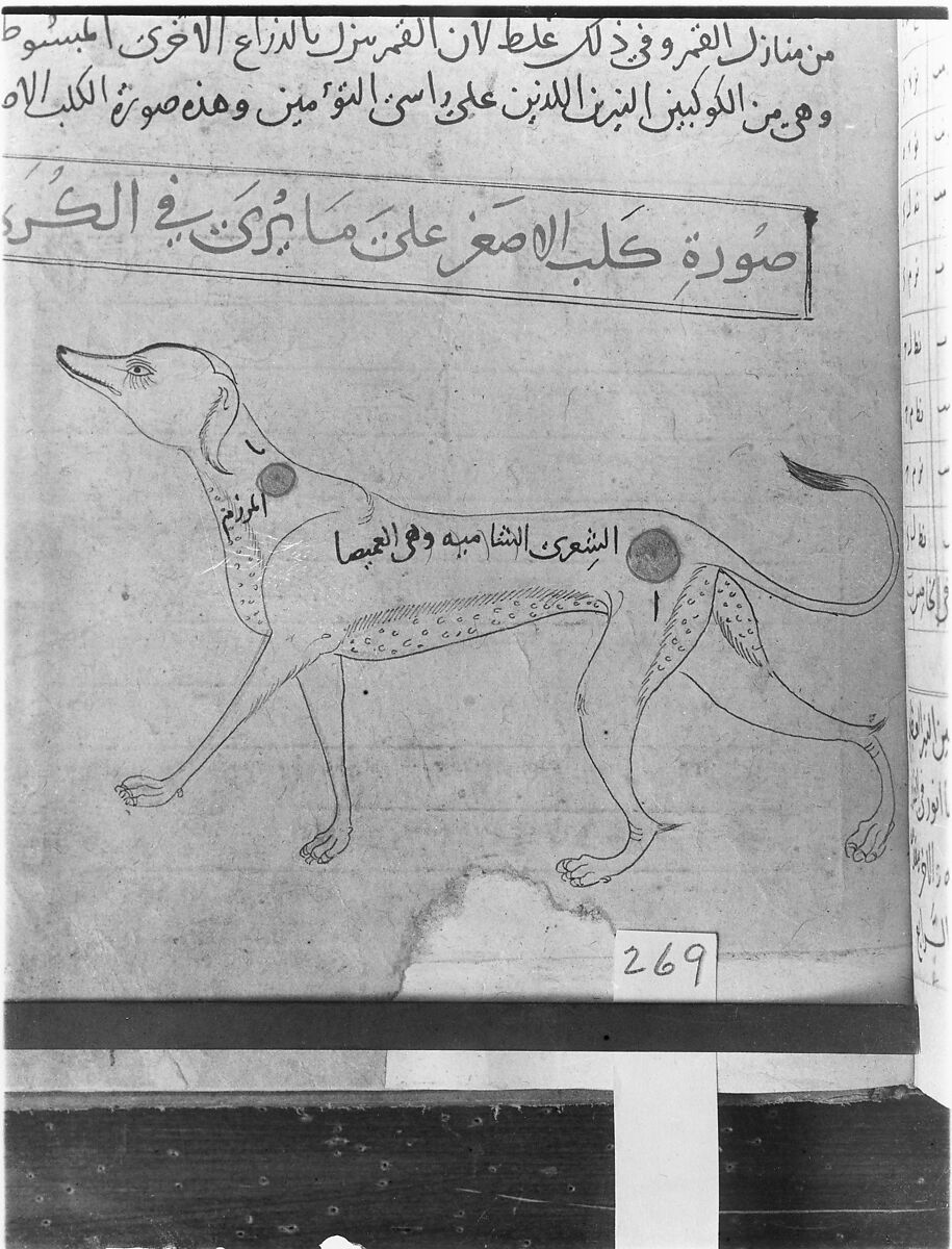 Kitab suwar al-kawakib al-thabita (Book of the Images of the Fixed Stars) of al-Sufi, `Abd al-Rahman al-Sufi (Iranian, Rey 903–986 Shiraz), Ink and gold on paper; leather binding