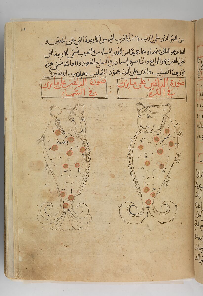 Kitab suwar al-kawakib al-thabita (Book of the Images of the Fixed Stars) of al-Sufi, `Abd al-Rahman al-Sufi (Iranian, Rey 903–986 Shiraz), Ink and gold on paper; leather binding