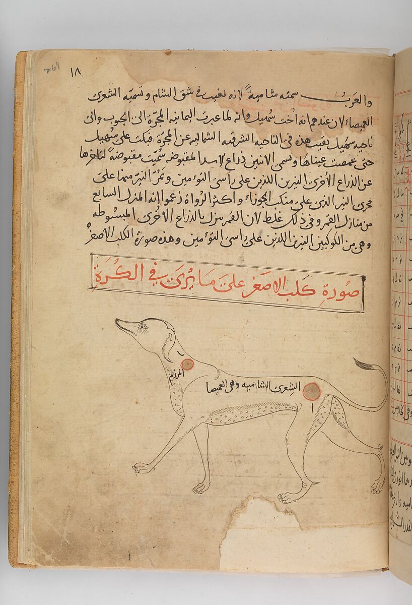 Kitab suwar al-kawakib al-thabita (Book of the Images of the Fixed Stars) of al-Sufi, `Abd al-Rahman al-Sufi (Iranian, Rey 903–986 Shiraz), Ink and gold on paper; leather binding