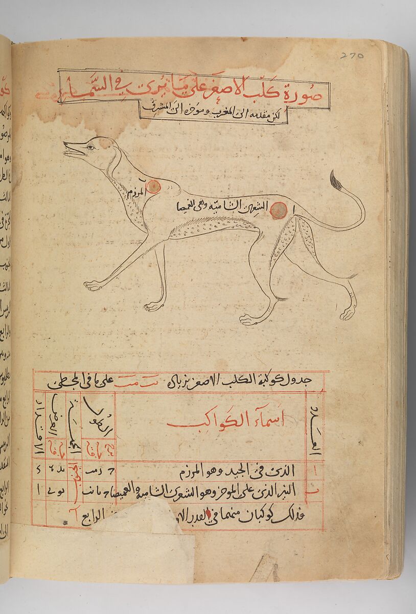 Kitab suwar al-kawakib al-thabita (Book of the Images of the Fixed Stars) of al-Sufi, `Abd al-Rahman al-Sufi (Iranian, Rey 903–986 Shiraz), Ink and gold on paper; leather binding