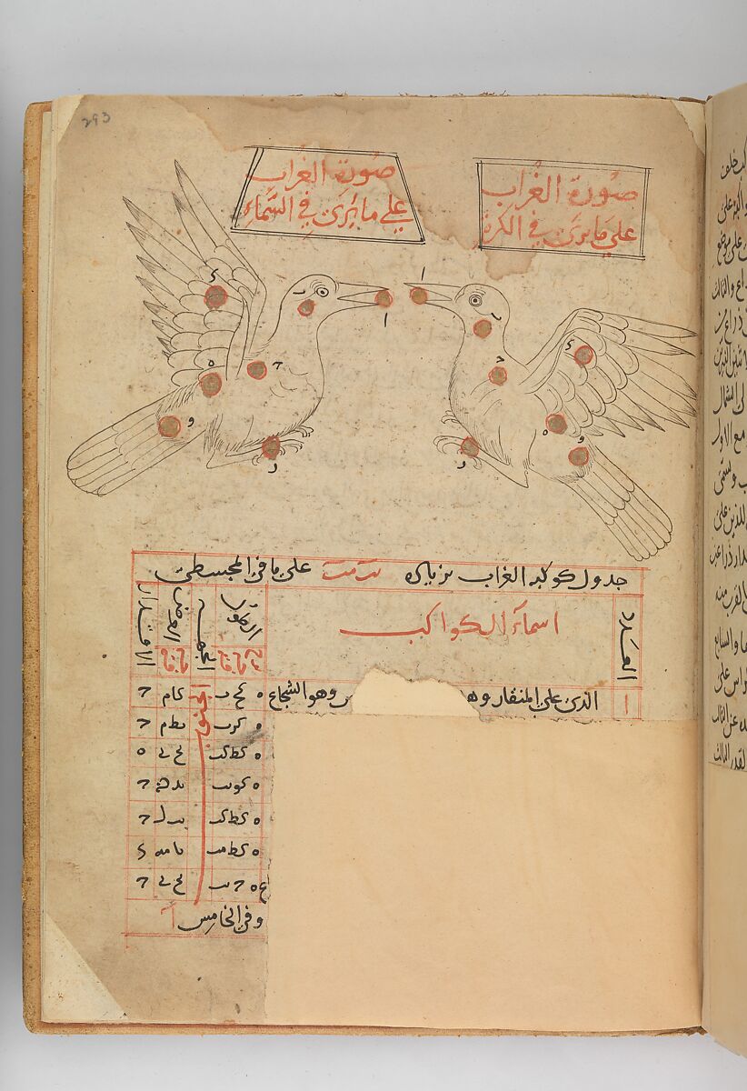 Kitab suwar al-kawakib al-thabita (Book of the Images of the Fixed Stars) of al-Sufi, `Abd al-Rahman al-Sufi (Iranian, Rey 903–986 Shiraz), Ink and gold on paper; leather binding