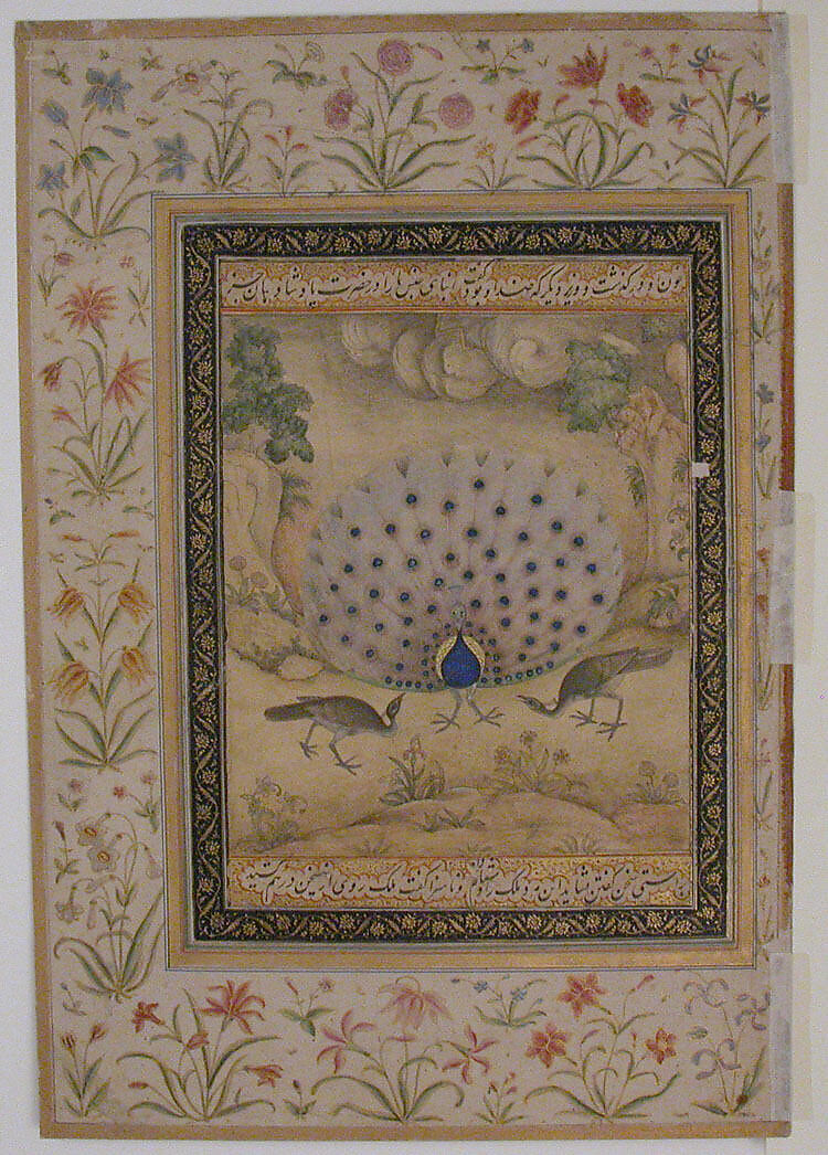 Shaikh Salim Chishti, Ink, opaque watercolor, and gold on paper