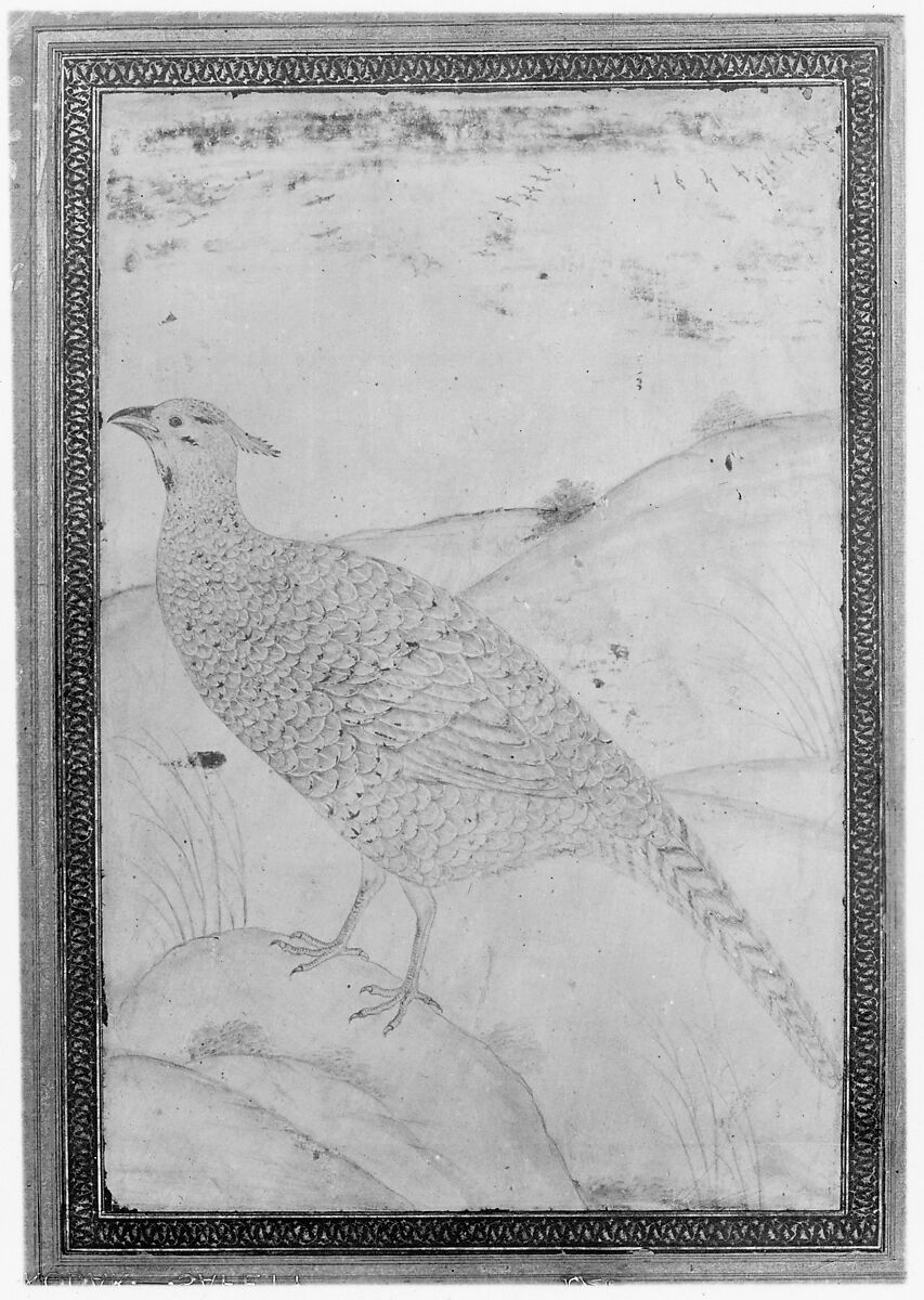 Portrait of the Emperor Akbar, Ink, opaque watercolor, and gold on paper