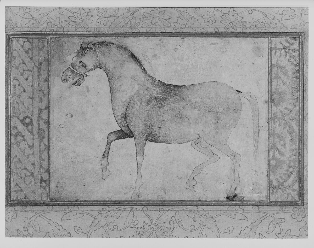 Portrait of a Stallion, Ink on paper