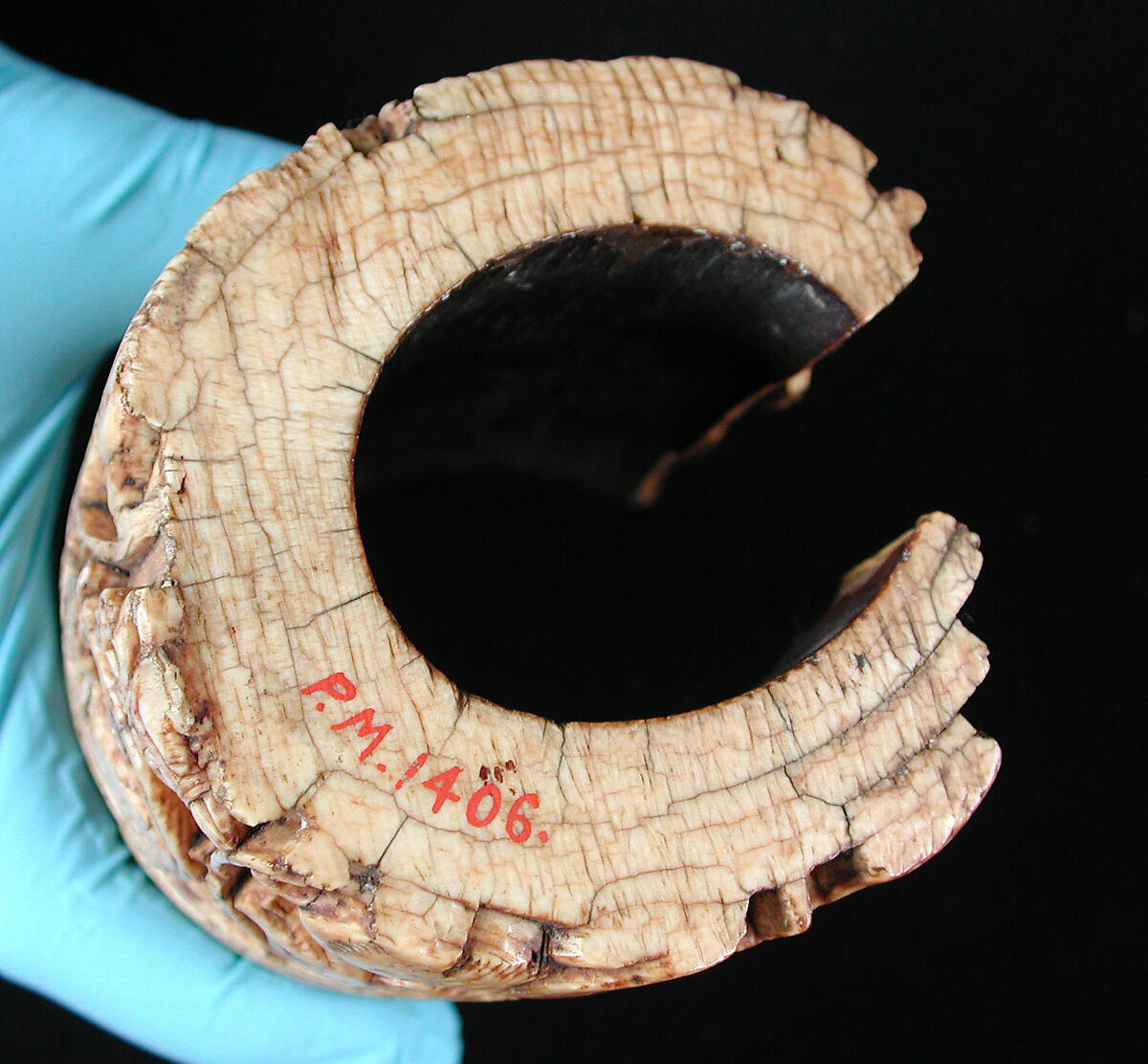 Fragment of an Oliphant, Ivory; carved