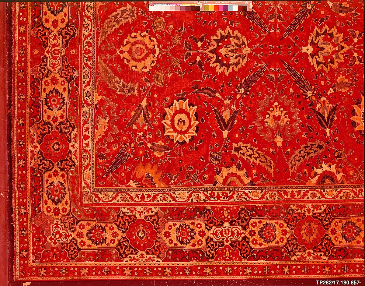 Carpet, Cotton (warp and weft), wool (pile); asymmetrically knotted pile