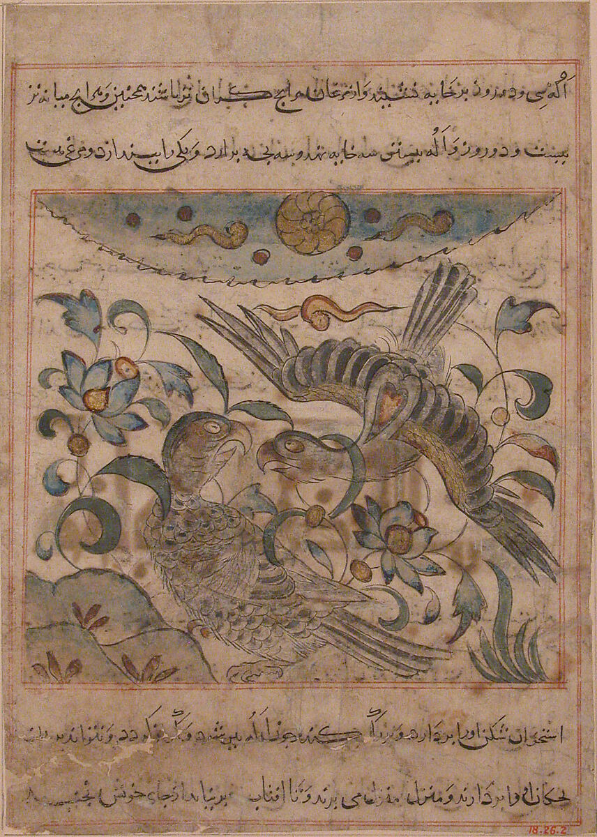 "Pair of Eagles", Folio from a Manafi' al-hayawan (On the Usefulness of Animals) of Ibn Bakhtishu', Ibn Bakhtishu' (died 1058), Ink, opaque watercolor, and gold on paper