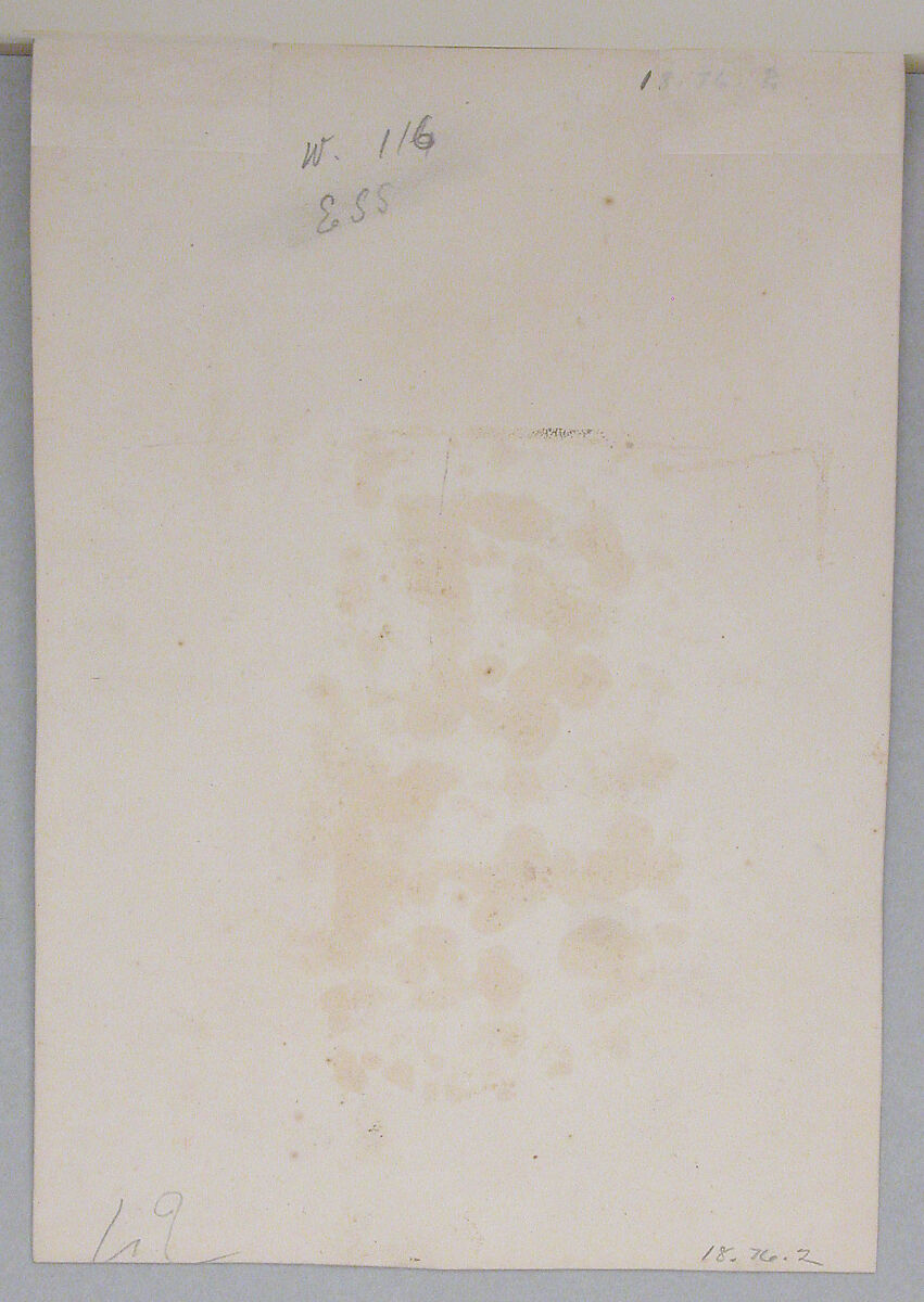 Tree on a River Bank, Painted on cotton