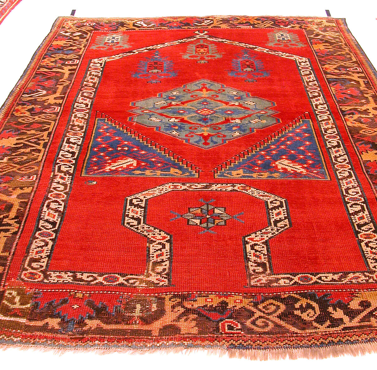 "Bellini" Carpet, Wool (warp, weft, and pile); symmetrically knotted pile