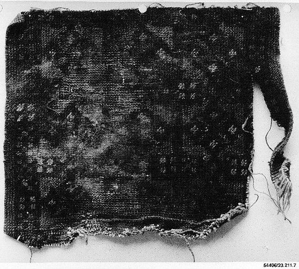 Carpet Fragment, Cotton, wool; symmetrically knotted pile 