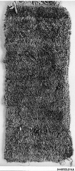 Carpet Fragment, Cotton (warp and weft), camel hair (pile); symmetrically knotted pile 