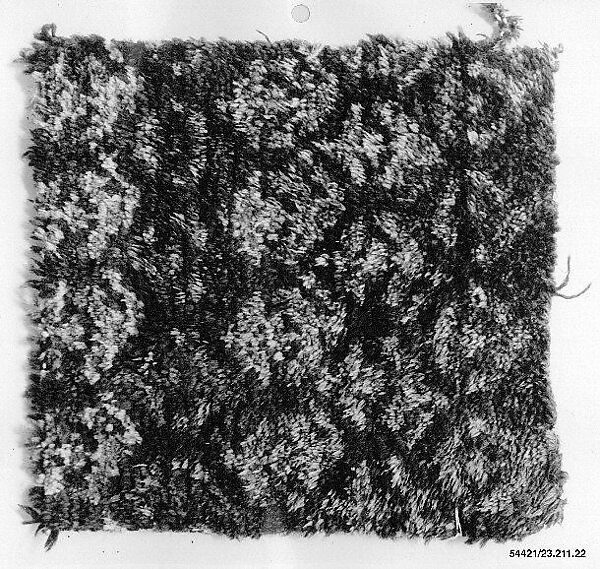 Carpet Fragment, Cotton, wool; symmetrically knotted pile 
