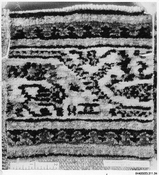 Carpet Fragment, Cotton (warp and weft), wool (pile); knotted pile 