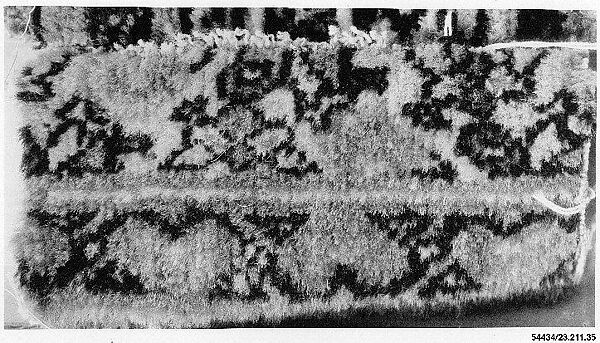 Carpet Fragment, Cotton (warp and weft), wool (pile); asymmetrically knotted pile 
