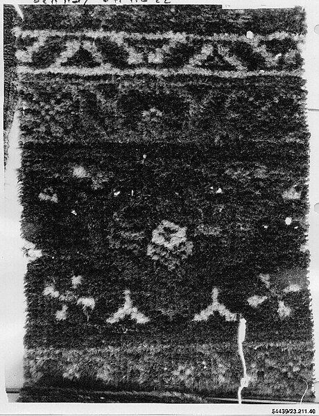 Carpet Fragment, Cotton (warp and weft), wool (pile); asymmetrically knotted pile 