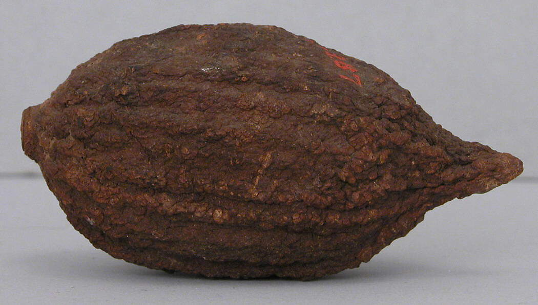 Petrified Lemon, Lemon