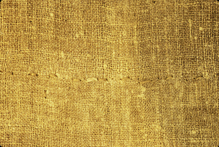 Tunic with Dionysian Ornament, Undyed linen with tapestry woven wool decorations