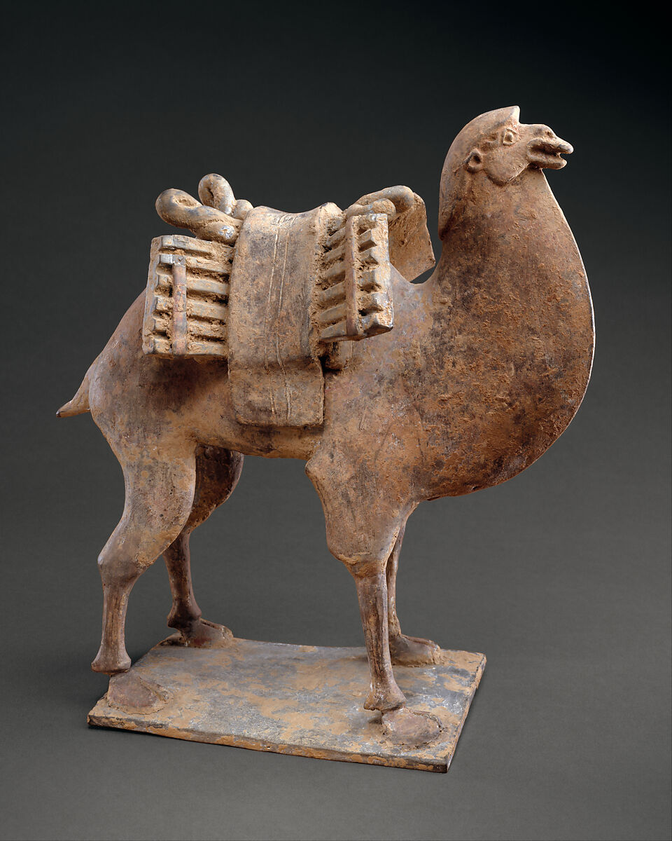 Camel, Earthenware with traces of pigment, China 