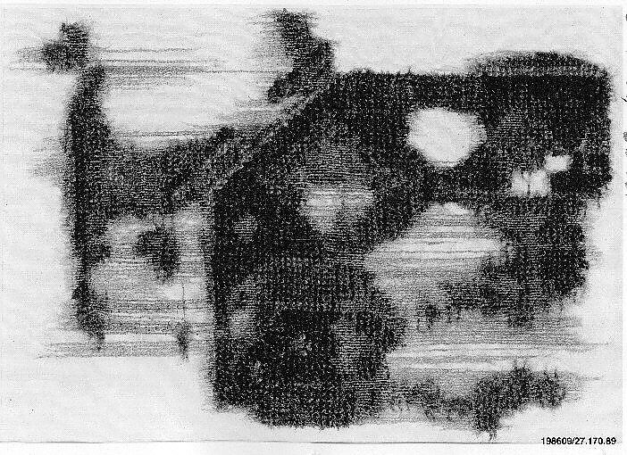 Carpet Fragment, Wool (warp, weft and pile); symmetrically knotted pile