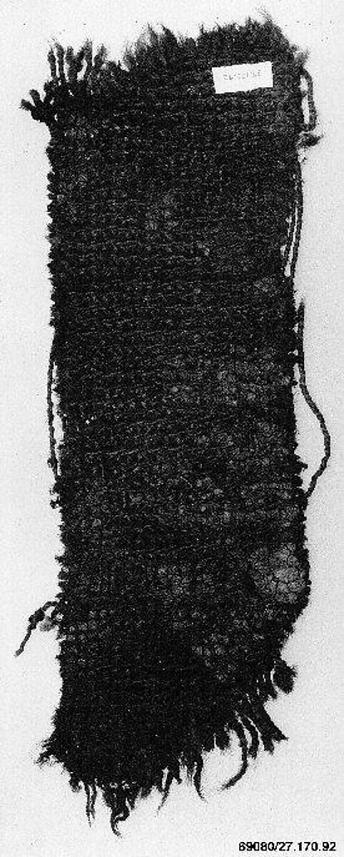 Carpet Fragment, Wool; symmetrically knotted pile 