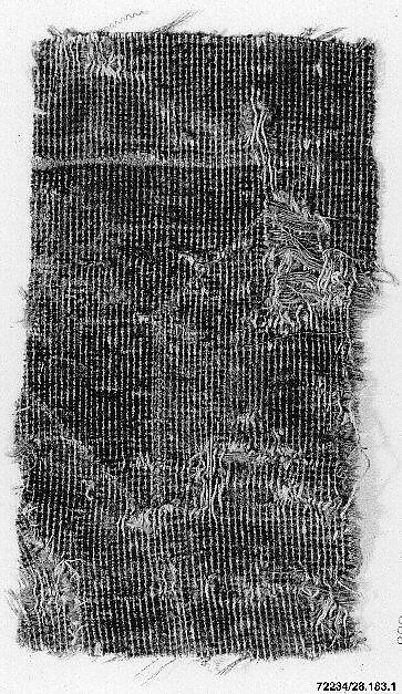 Carpet Fragment, Wool; asymmetrically knotted pile