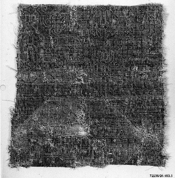 Carpet Fragment, Wool; asymmetrically knotted pile