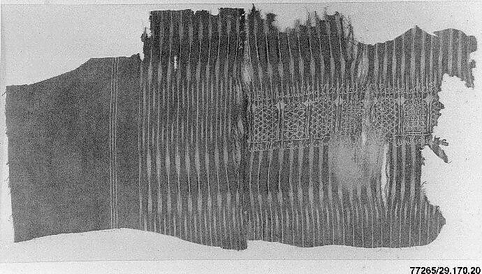 Fragment of a Mantle, Cotton; plain weave, resist-dyed (ikat), embroidered