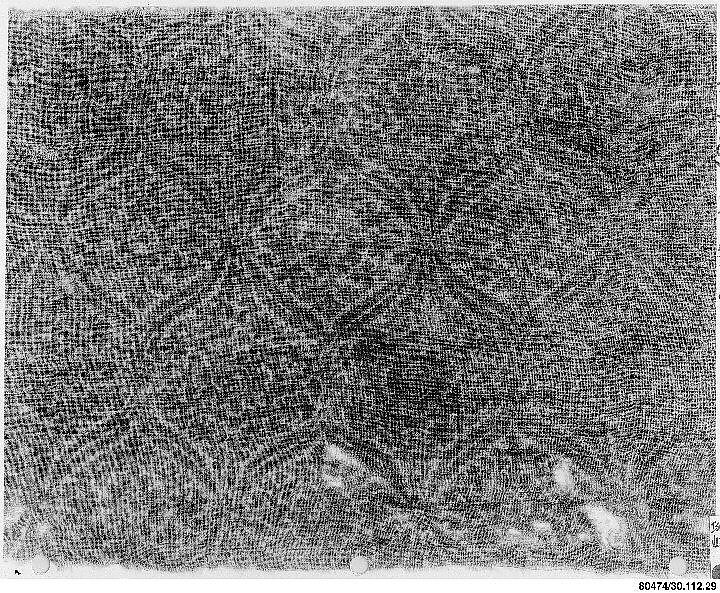 Textile Fragment, Cotton, plain weave; block-printed, mordant dyed