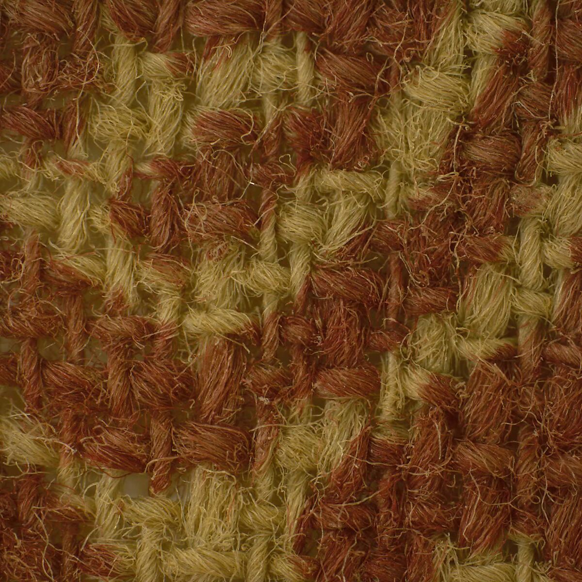 Textile Fragment, Cotton, plain weave; block-printed, mordant dyed