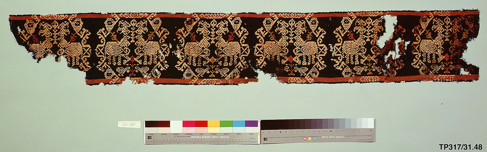 Tunic Band with Repeating Motif of Confronted Griffins