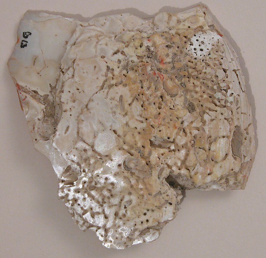 Shell Fragment, Shell, cinnabar pigment